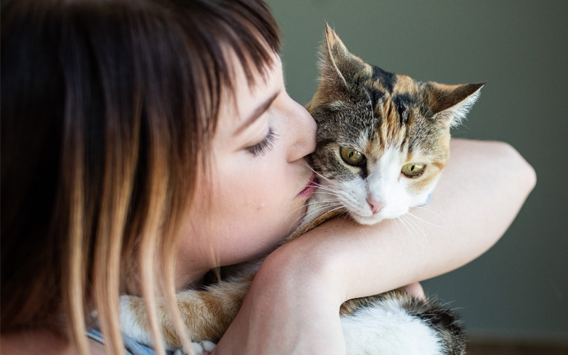 Pet parent kissing cat