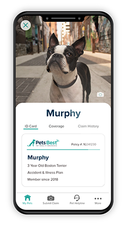 Pets Best mobile app