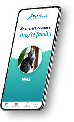 Pets Best mobile app